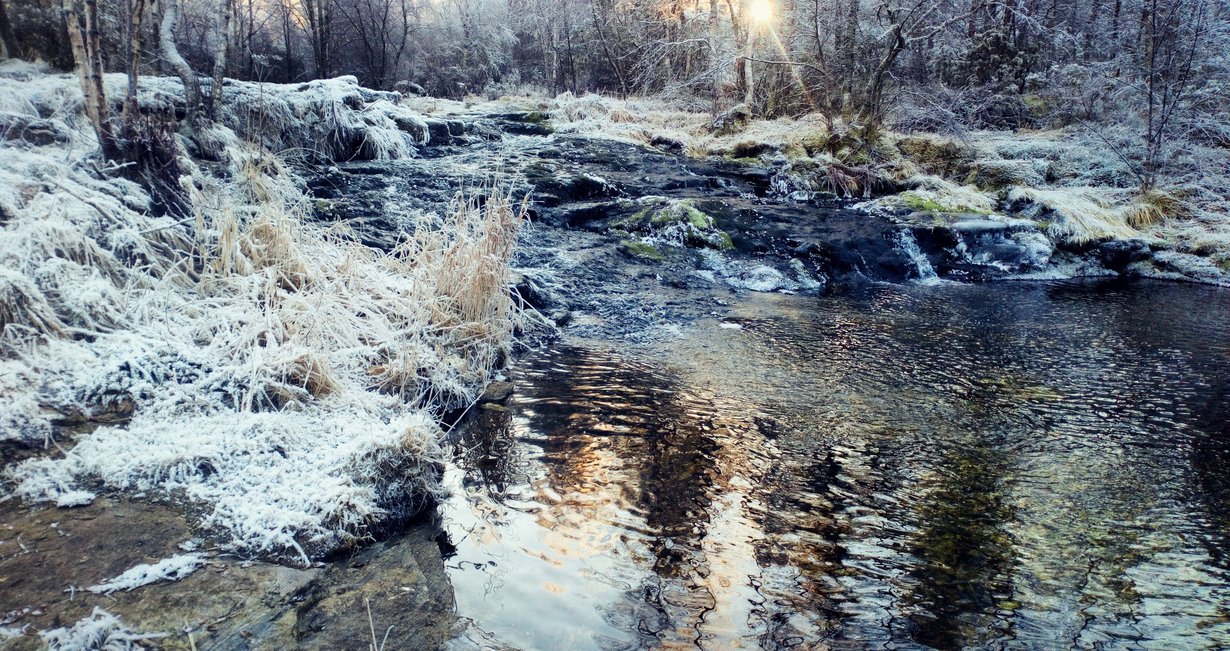 Spåkelva. Kunstnarfoto av Karin B. Mikkelsen