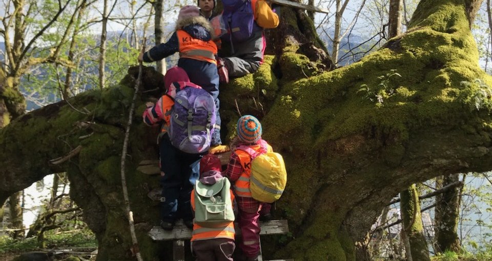 Festtangen på Lenen