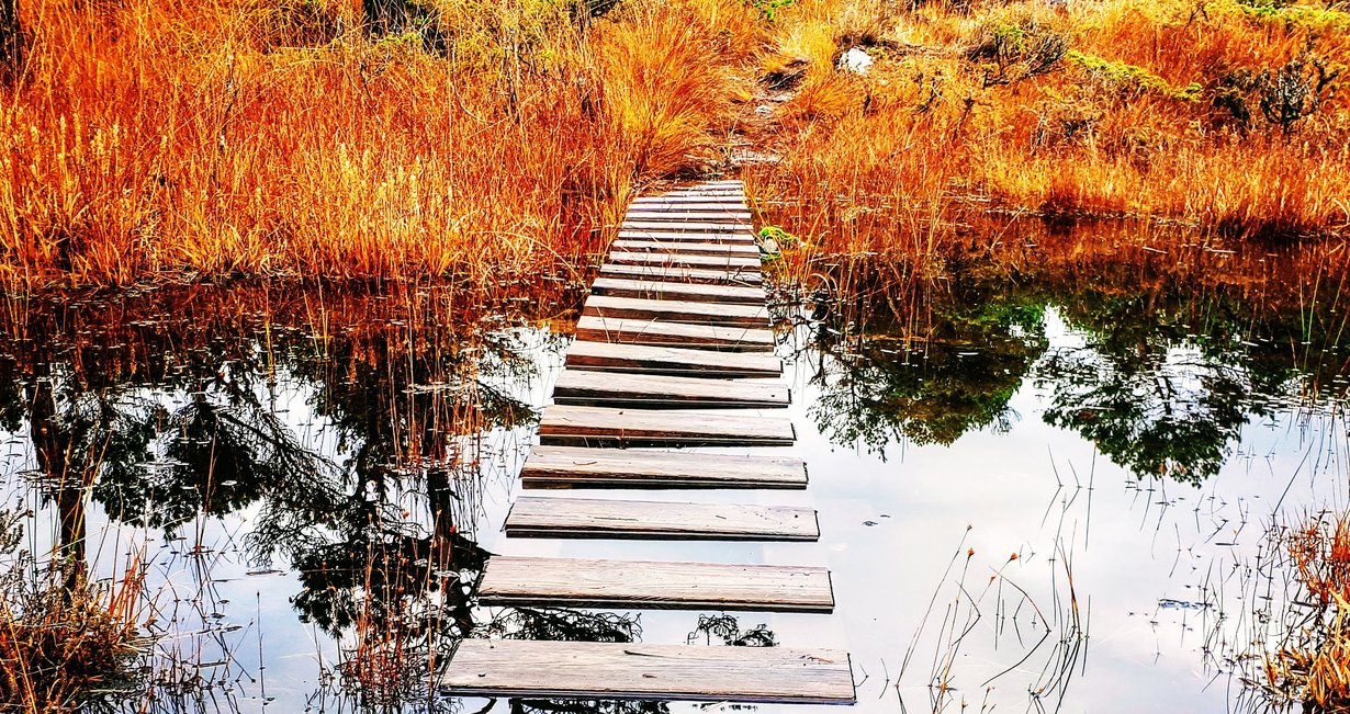 Halldisbrua på Liafjellet.