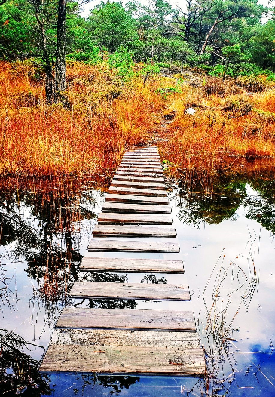 Halldisbrua på Liafjellet.