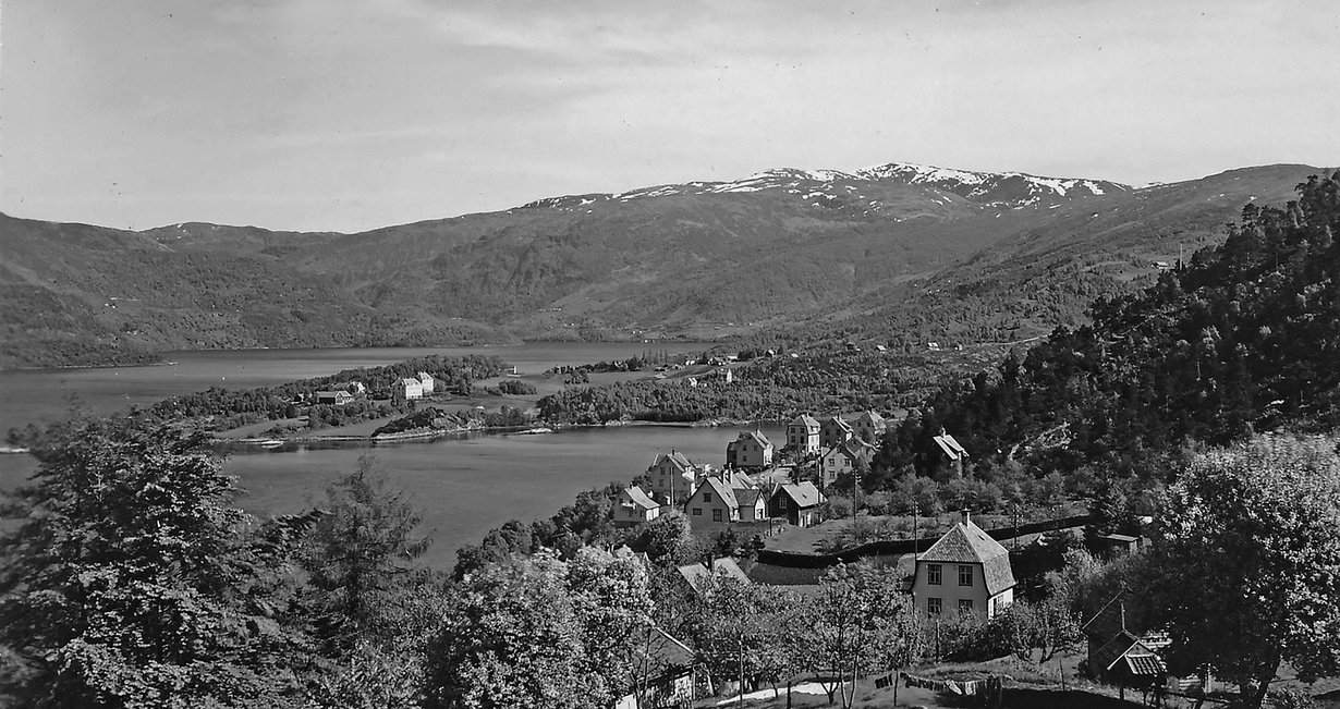 Parti frå Ytre Arna mot sør. Foto: W. Øybø.